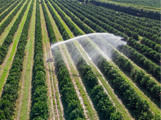 Water security: ensuring a resilient supply chain in the food industry