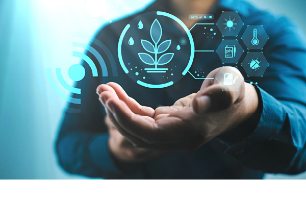 Smart irrigation: how technology is transforming water management in agriculture