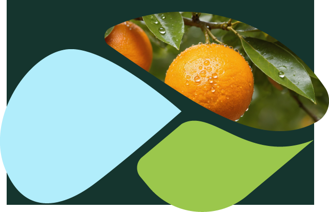 Water efficiency: the key to a sustainable food & beverage industry