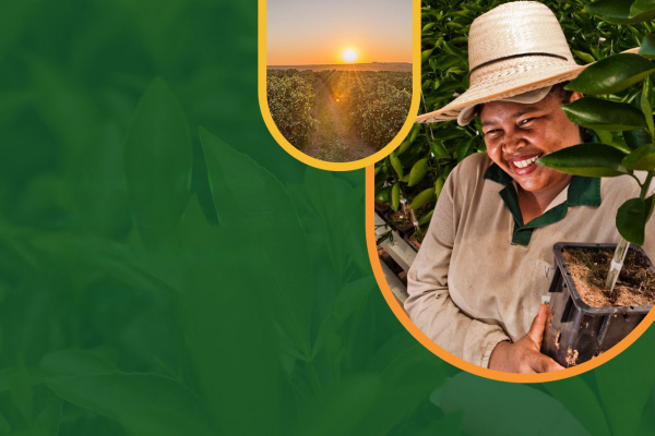 Citrosuco Sustainability Report 23/24: Impact Beyond Harvest